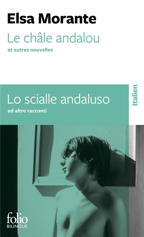 Couverture de Le châle andalou : et autres nouvelles