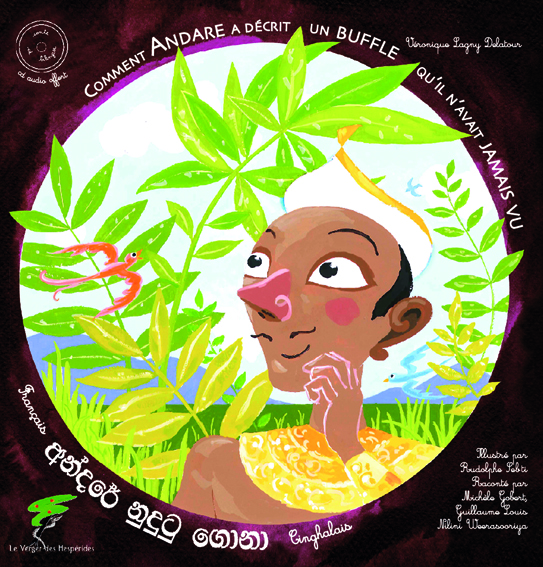 Couverture de Comment Andare a décrit un buffle qu'il n'avait jamais vu ? : conte du Sri-Lanka
